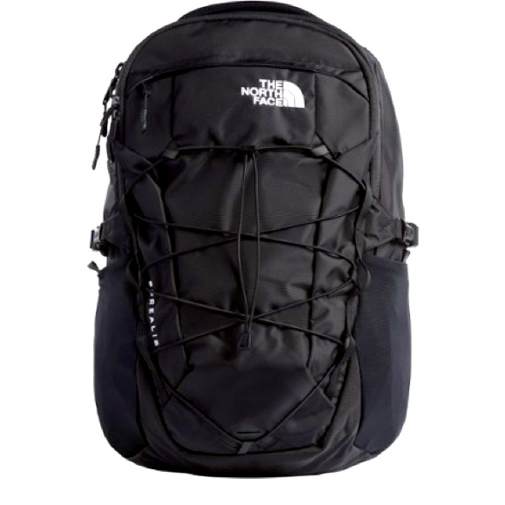 North Face Borealis Backpack